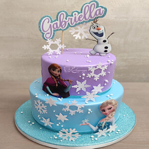 Frozen theme cake 31