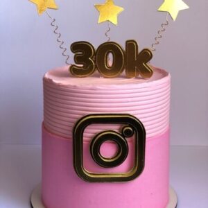 Youtube theme cake 19