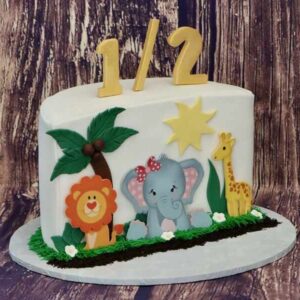 Half (6 mnth) Bdy cake 5